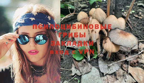 мдпв Абинск